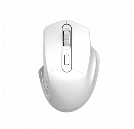 Мышь Canyon CNE-CMSW15PW CANYON - bologoe-experts.ru – фото 1