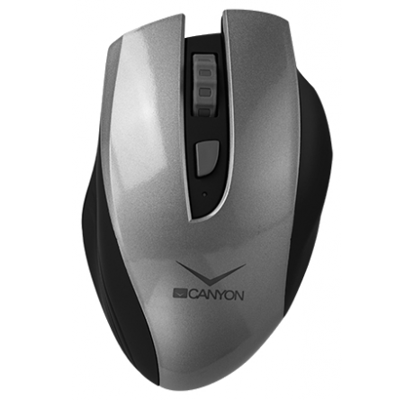 Мышь Canyon CNS-CMSW7G CANYON - bologoe-experts.ru – фото 1