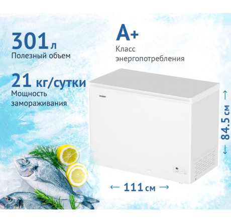 Haier HCE301R белый Морозильный ларь  HAIER - bologoe-experts.ru – фото 1