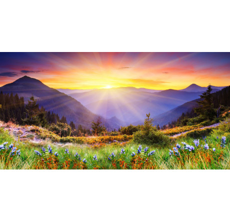 ЖК Doffler 24KH29 Doffler - bologoe-experts.ru – фото 1